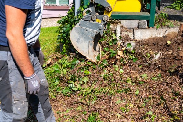 Hedge Removal Service in Pataskala