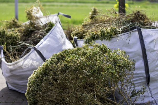 Shrubs Removal in Pataskala
