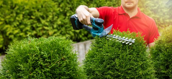 Hedge Shaping Service in Pataskala