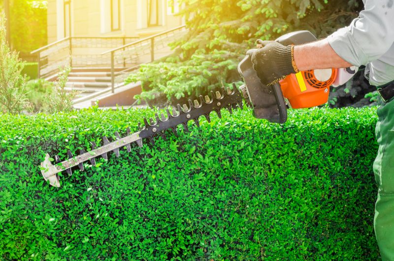 Hedge Shaping Service