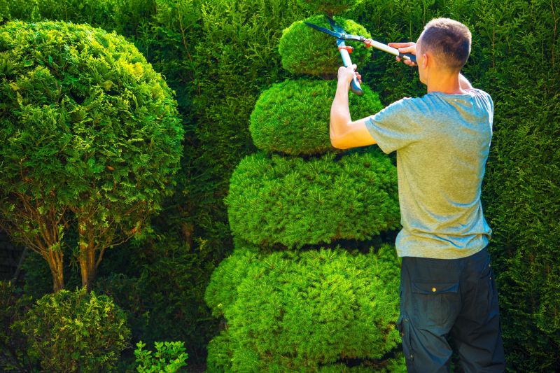 Landscaper Using Pruning Shears