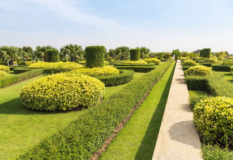 Symmetrical Shrubs Along a Driveway