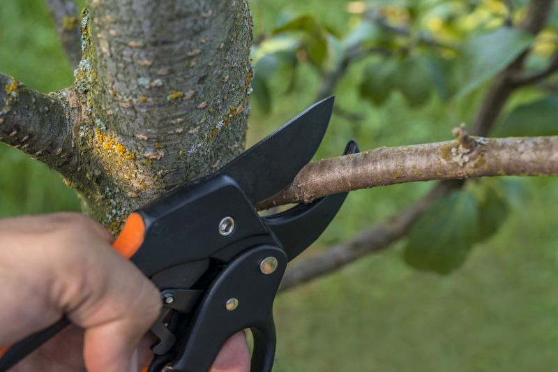 Close-up of Pruning Shears Cutting Branches