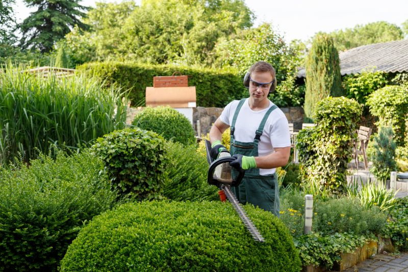 Professional shrub trimming tools